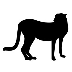 cheetah silhouette