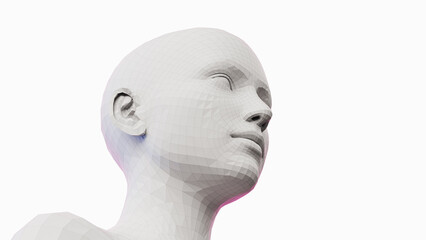 3d rendered illustration of a females face