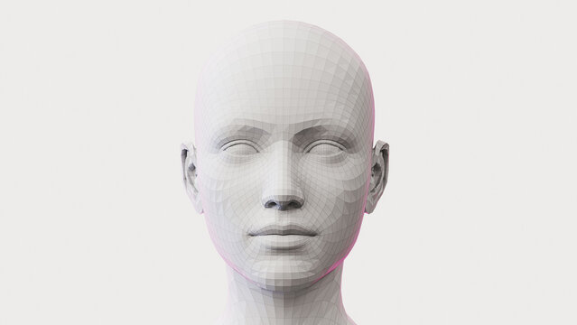 3d rendered illustration of a females face