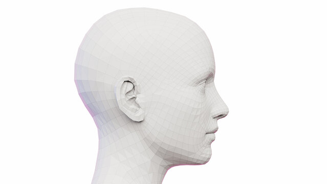 3d rendered illustration of a females face