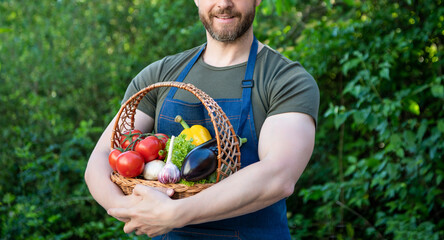 cropped view of man hold basket full of vegetables