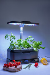 Smart indoor garden with uv lamp