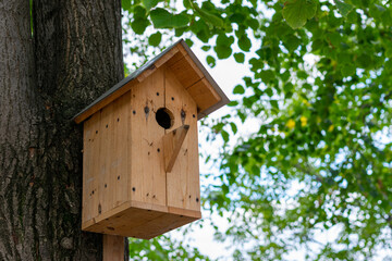 wooden birdhouse on a tree
