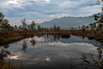 Nebliger Morgen in der Kendlmühlfilzen, ein Hochmoor bei Grassau, Bayern 