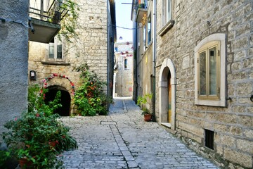 Fototapeta na wymiar A narrow street between the old stone houses of Oratino, a medieval village in the Molise region of Italy.