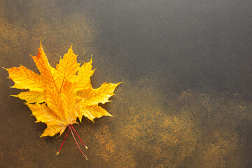 Autumn background with maple leaves, the transition from summer to fall, the change of natural...