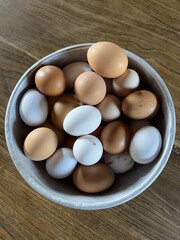 Close up shot from above of an aluminium bowl filled with fresh laid eggs of different shell colors, white and pink. Farm style food.