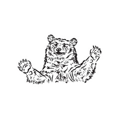 Fototapeta premium Vector illustration of a realistic bear. Smiling bear. Black and white sketch, sketch of a forest animal. Honey lover. From Siberia with love. Bear ink.