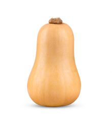 butternut squash isolated on transparent png - obrazy, fototapety, plakaty
