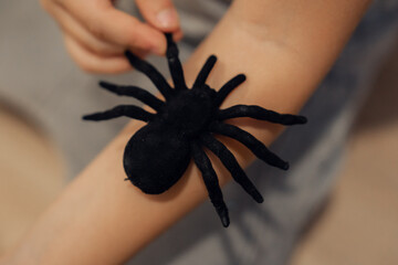Big black spider on child's hands, halloween concept. High quality photo