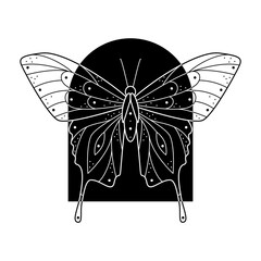 Stylized black and white butterfly in arch shape frame. Hand drawn line art ornated vector illustration. Natural design
