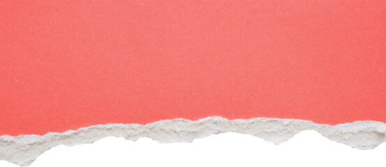 pink ripped paper torn edges strips isolated on white background