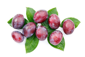 A group of red-purple plums with green foliage on a white background.