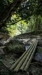Mok Fa Waterfall in Northern Thailand