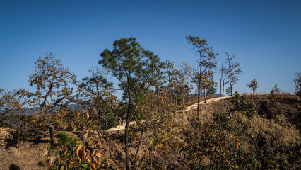 The landscape of Pai Canyon in Thailand