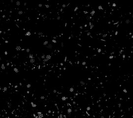 Snow on a black background. Flying snowflakes. The effect of snowfall overlay.