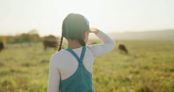 Farmer, child and pasture for cow, herd or cattle in summer, sunshine and outdoor. Young, girl and farming with cows, bull and animal eating grass for agriculture, milk or meat on field in Argentina