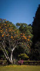Naklejka premium The landscape along Mae Hong Son Loop in Thailand