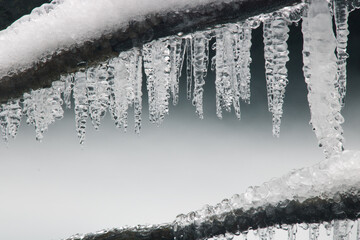 stalactites de glace sur une branche