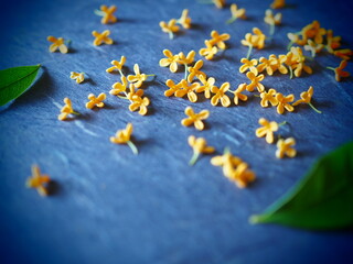 金木犀の花びら