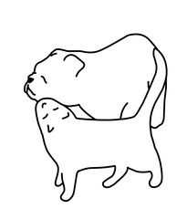 Cat and dog friendships 