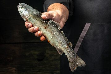Male hands holding rainbow trout with lemon, garlic, herbs and spices, Fish dish cooking with...
