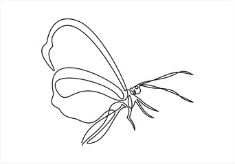 Butterfly. Continuous line drawing