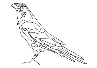 Raven. Continuous line drawing. 