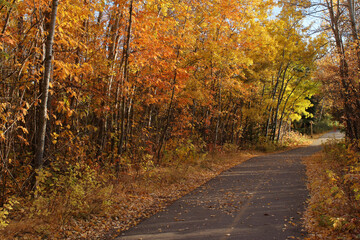 A serene and colorful autumn scene at sunset.