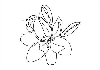 Hand drawn orchid flowers. One line drawing.