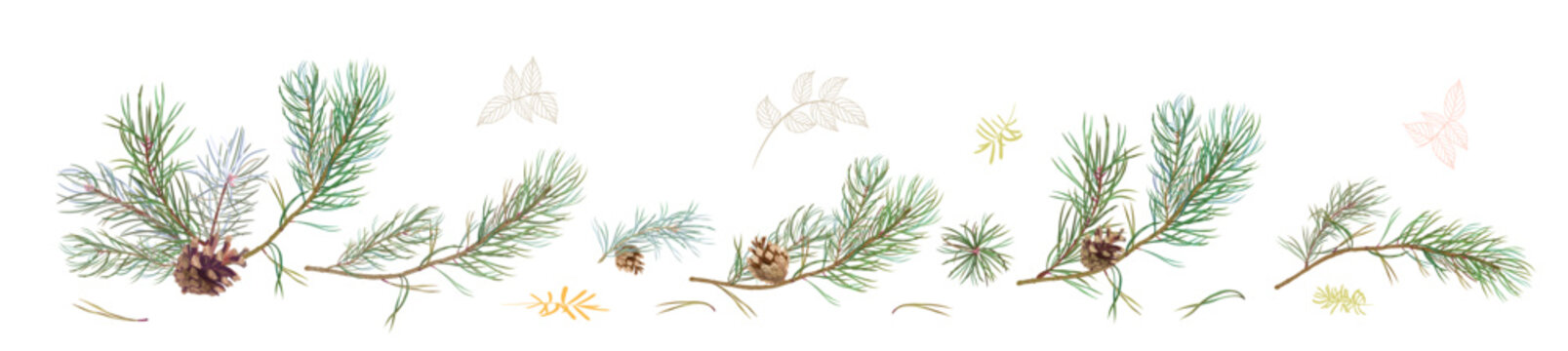 Horizontal panoramic border with pine branches and cones, needles on white background. Digital hand draw in watercolor style. Christmas tree, decorative botanical illustration for design, vector