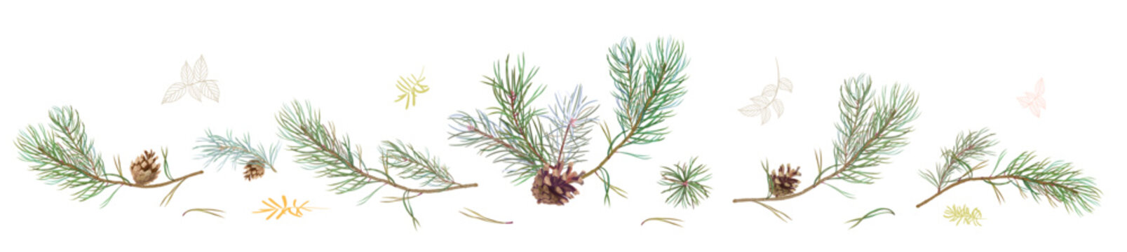 Horizontal border with pine branches and cones, needles on white background, hand digital draw, watercolor style, decorative botanical illustration for design, Christmas tree, vector