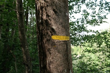 Hiking and via ferrata next to the village of Les Deux Alps, in the french Alps. There is some walking through the forest where you see structures of the old mining activities.