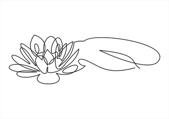 Flower lotus continuous line 