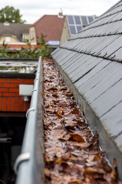 A portrait of a clogged roof gutter with a lot of brown fallen autumn leaves in it and water which cannot be drained. This is an annual chore during fall season.