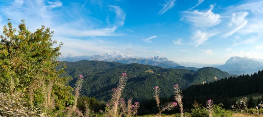 Crédence de cuisine en verre imprimé Mont Blanc Panorama sur le Mont Blanc dans les Alpes française en fin d'après-midi d'été. Petites fleurs multicolores en premier plan