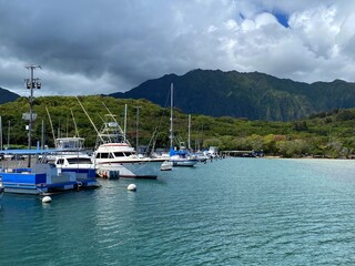 Fototapeta premium boats in the bay