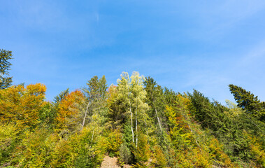 Autumn landscape of the Carpathians on a sunny day