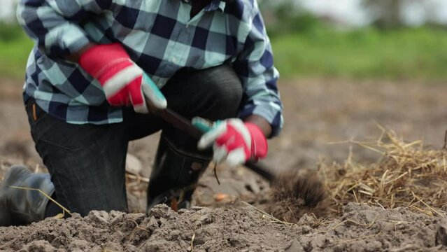 Male African farmer with cutlass digging soil to plant seeds