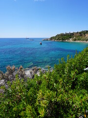 Fototapeta na wymiar view of the coast of the sea with vegetation, wide aperture