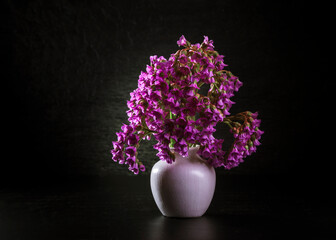 Bouquet of bergenia in a light vase on a dark background. Copy space