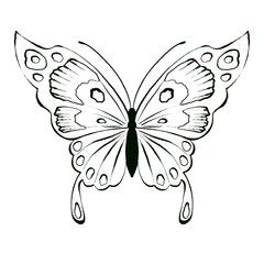 Set of Butterfly, black and white illustration, isolated