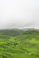 Fototapeta na wymiar Salalah landscapes The green and wet part of Oman 