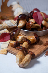 Several Imleria Badia or Boletus badius mushrooms commonly known as the bay bolete and vintage pan with mushrooms on wooden cutting board..