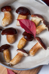Vintage baking sheet with Imleria Badia or Boletus badius mushrooms commonly known as the bay bolete on wooden cutting board..