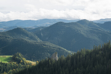 Aerial top view of autumn pine forest in Carpathians. Big rock inside the forest. Drone photography