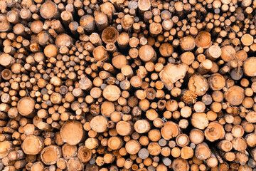 Stacked firewood as background