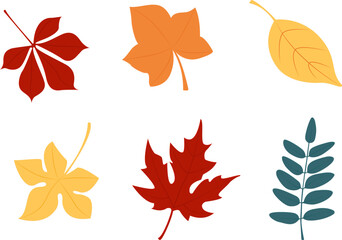 Autumn leaves isolated vector set for design