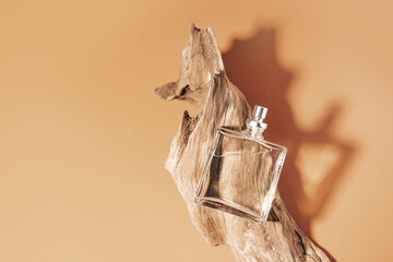 Perfume with woody notes concept with transparent perfume bottle lying near the aged weathered...