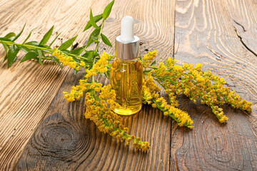 Yellow Flowers of Canada Goldenrod Oil, Rag weed, Ragweed